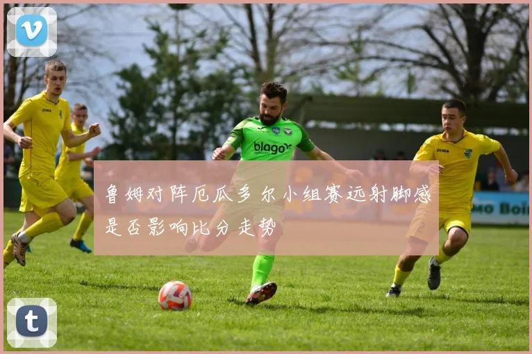 鲁姆对阵厄瓜多尔小组赛远射脚感是否影响比分走势