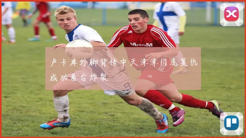 卢卡库外脚背传中天津津门虎复仇成功看台炸裂