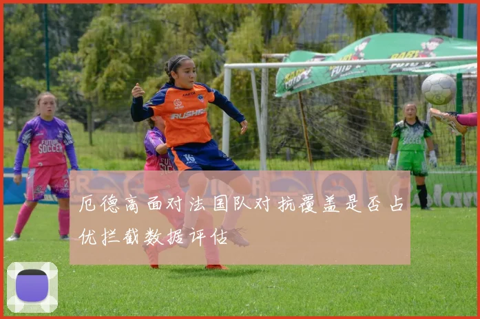厄德高面对法国队对抗覆盖是否占优拦截数据评估
